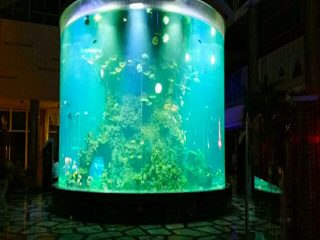 Txinako ohiturak cheap super big round pmma glass aquariums clear cylinder acrylic fish tankers