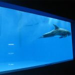 kalitate handiko Aquarium akriliko handiak / igerileku leihoaren azpian leiho lodiak