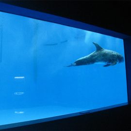 kalitate handiko Aquarium akriliko handiak / igerileku leihoaren azpian leiho lodiak