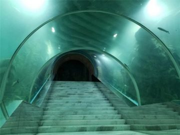 Tunel akrilikoa akuario proiektuaren prezioa