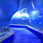 Clear pmma akrilikoa Aquariumeko plastiko handiko tunela