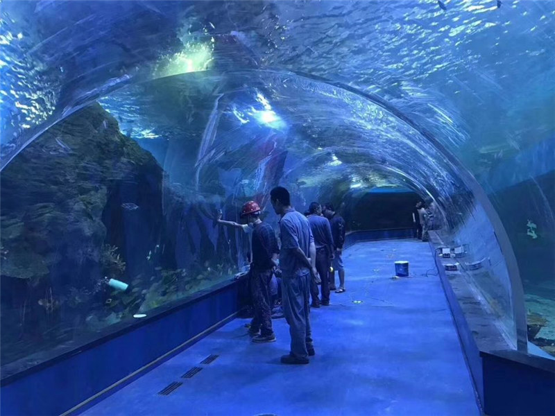 Plexiglass akrilikoa tunel akuario pertsonalizatua