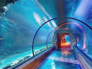 Aquarium akrilikoa tunel luzeko diseinu modernoa