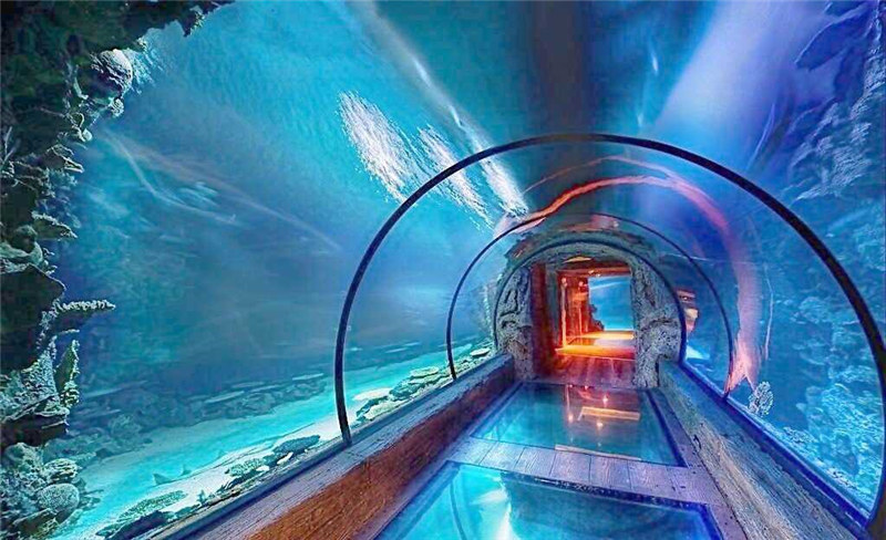 Aquarium akrilikoa tunel luzeko diseinu modernoa